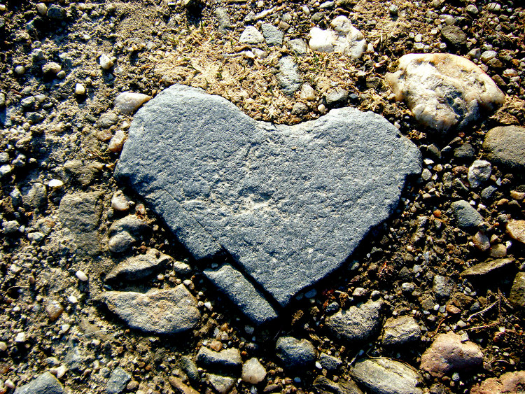 Reformation: New Eyes, Ears, Heart, Spirit