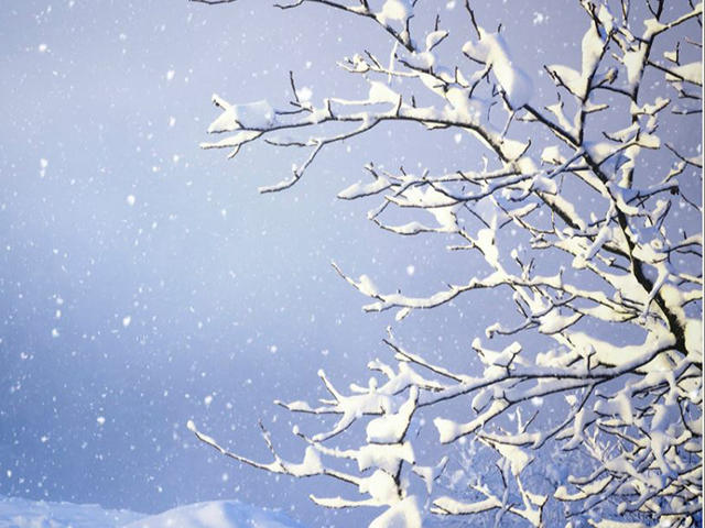 Night of Silence Website Goes Live