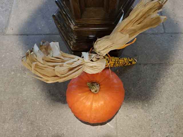The Theme of Today’s Liturgy is…squash?