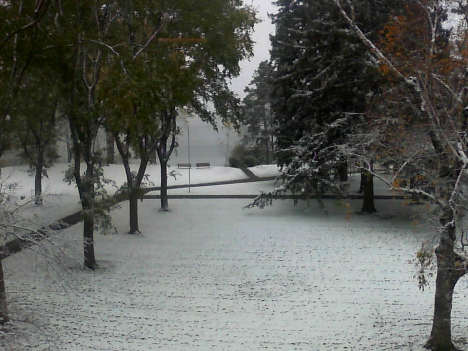 Seeing Snowfall, Beholding the Mass