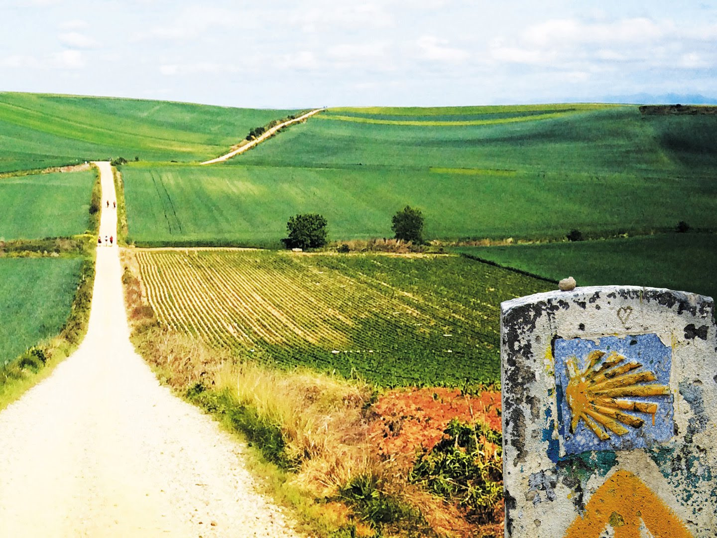 Walking the Camino