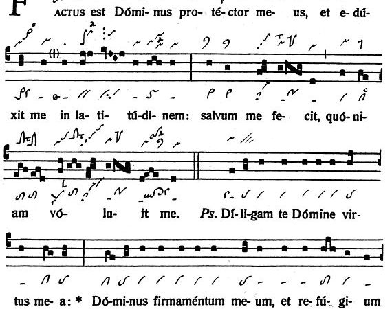 INTROITUS: 8th Sunday in Ordinary Time
