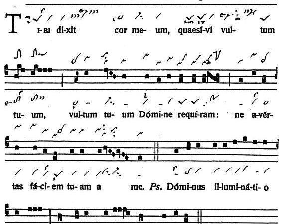 INTROITUS: St. Mary Magdalene