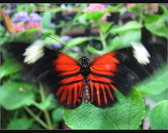 Ars Praedicandi: Ed Foley’s on the Sixth Sunday of Easter