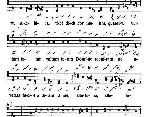 INTROITUS: 7th Sunday of Easter