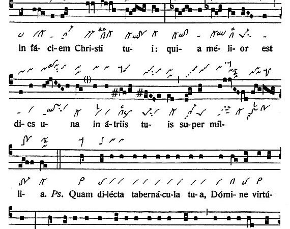 INTROITUS: 20th Sunday in Ordinary Time