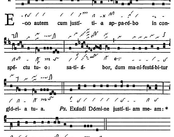 INTROITUS: 15th Sunday in Ordinary Time