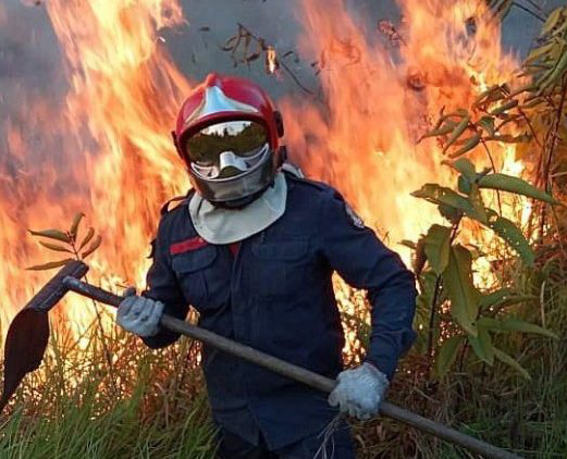 Entering the Season of Creation 2019 Early, as Fires Ravage the Amazon