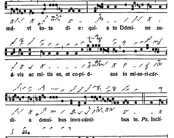 INTROITUS: 22nd Sunday in Ordinary Time