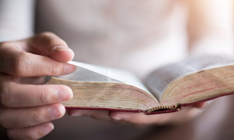 Motu Proprio on the Sunday of the Word of God: Two Reactions