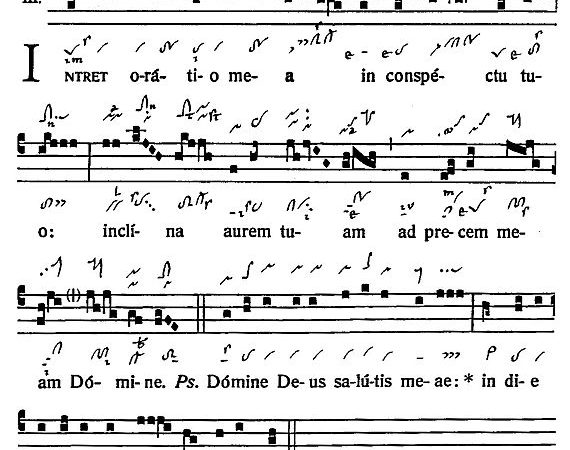 INTROITUS: 32nd Sunday in Ordinary Time