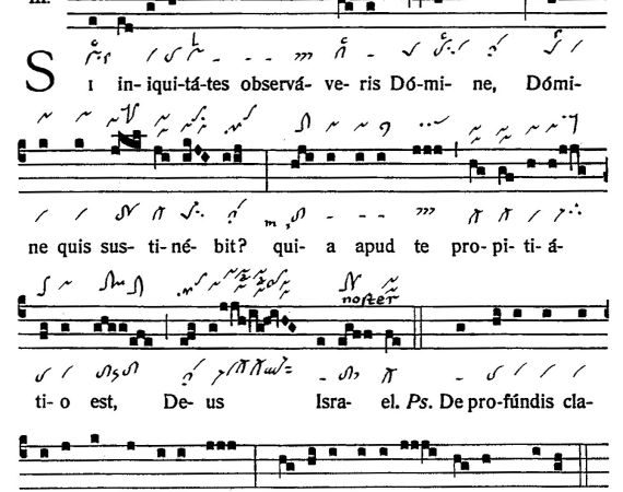 INTROITUS: 28th Sunday in Ordinary Time