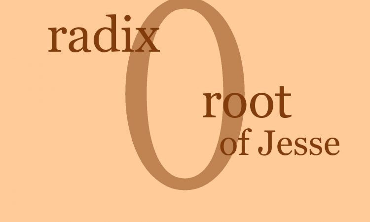 December 19: O Radix Jesse