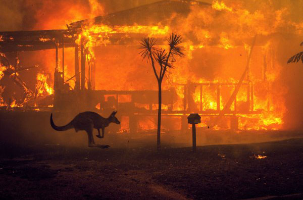 “Thousands of species will no longer give glory to God by their very existence”