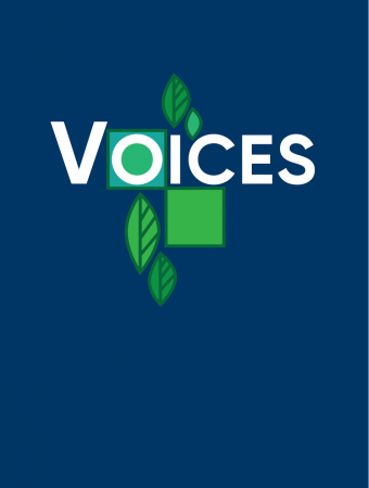 Brief Book Review: Voices – Pew edition