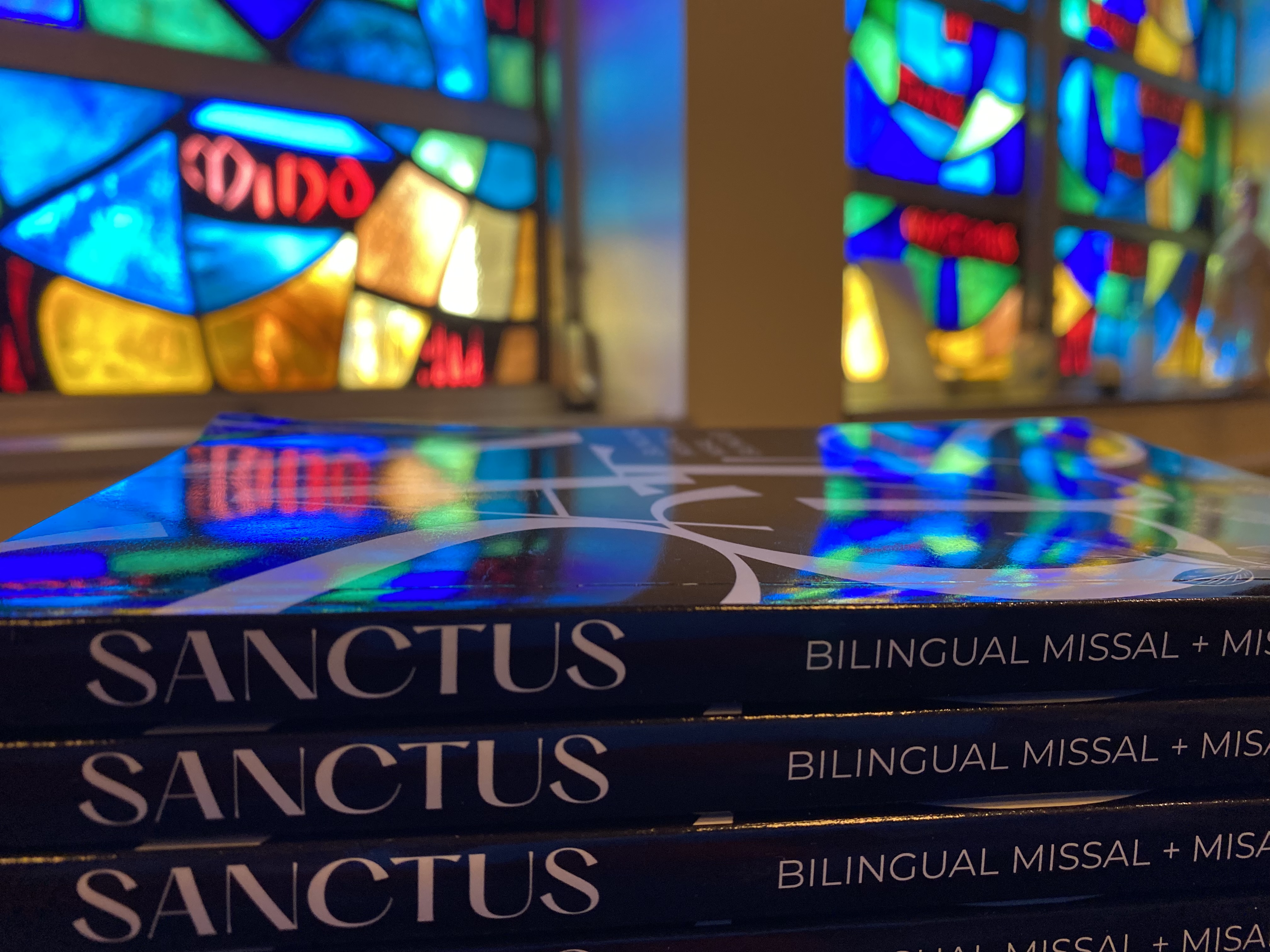 Participation, Creation, and the National Eucharistic Congress