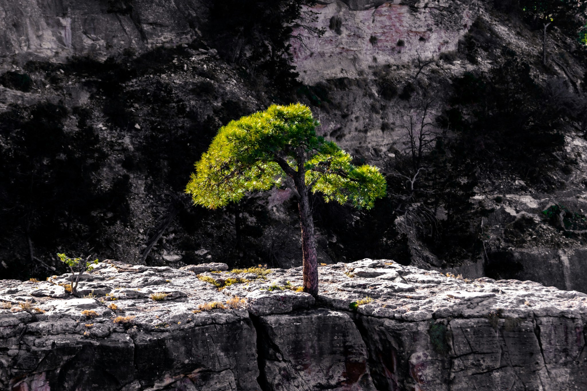 Photo by Barth Bailey on Unsplash