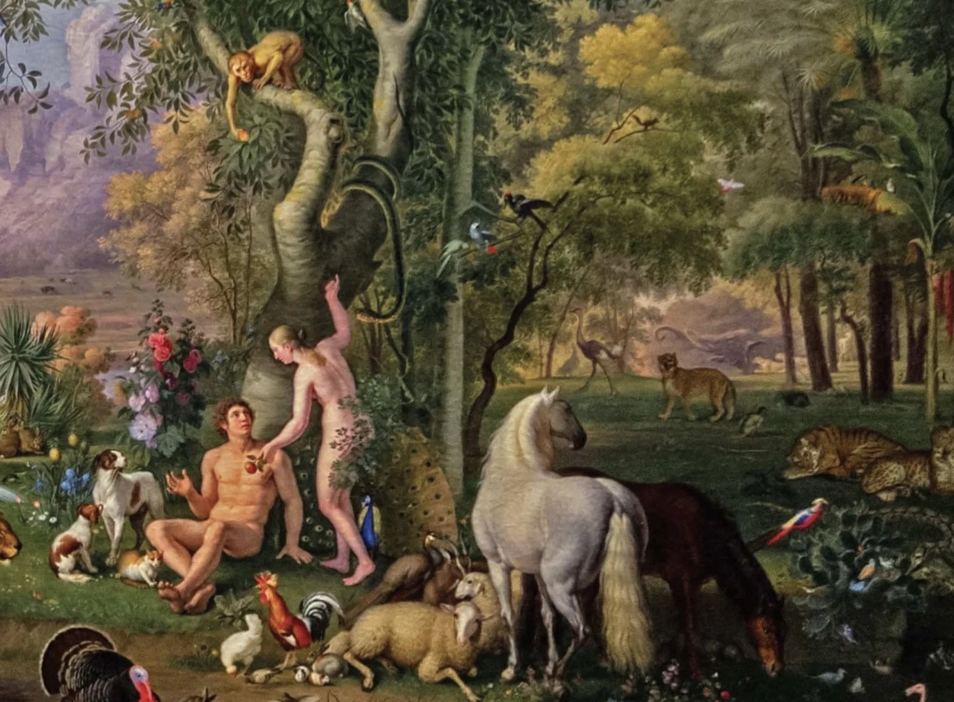 A Hope-Filled Vision