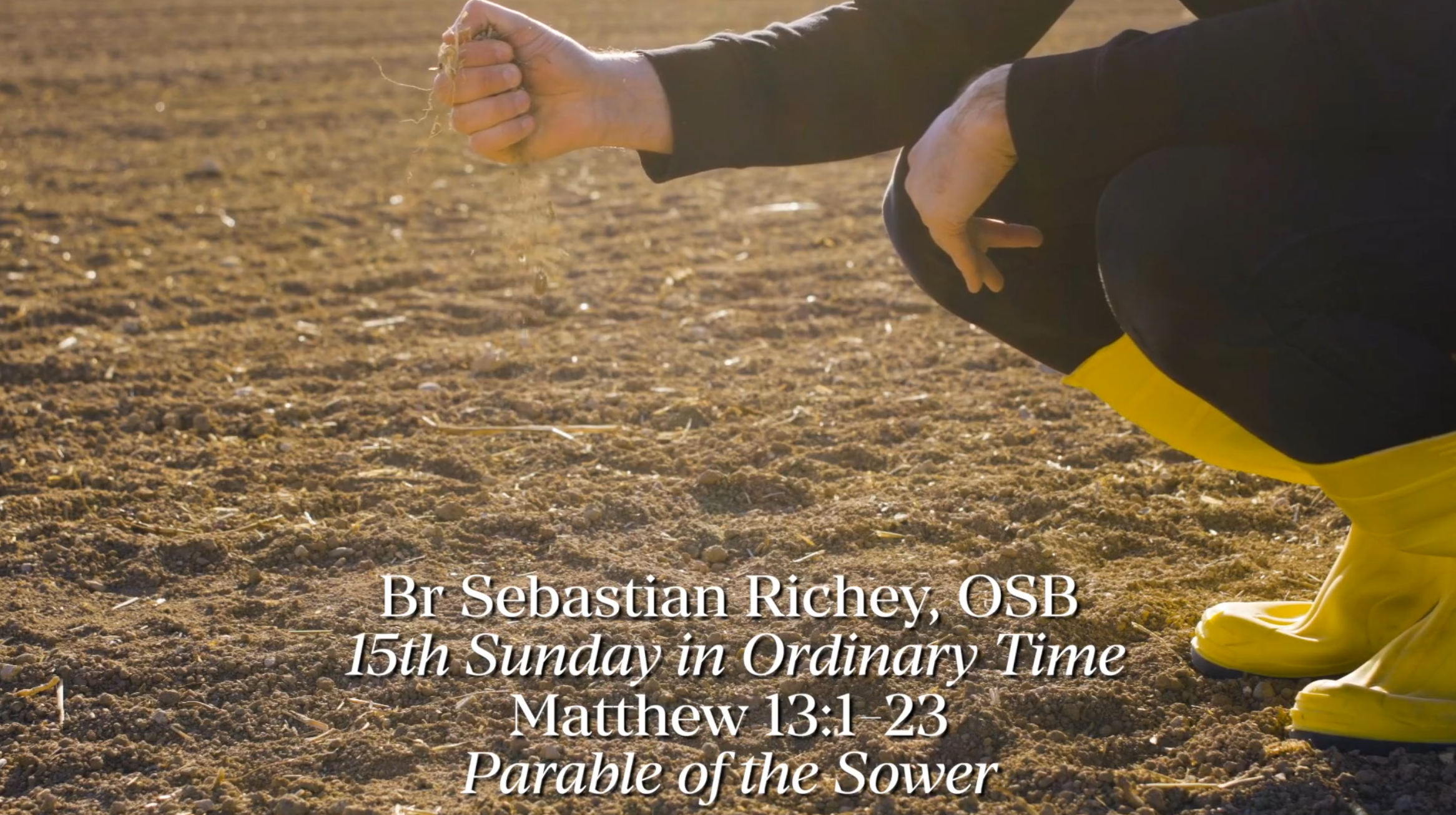 60-Second Sermon: 15th Sunday in OT